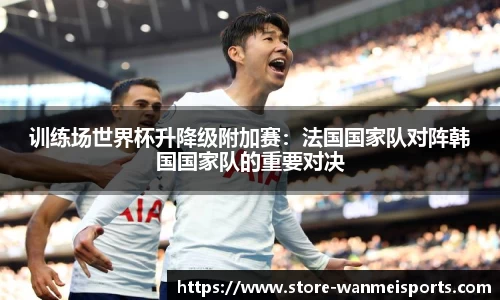 训练场世界杯升降级附加赛：法国国家队对阵韩国国家队的重要对决